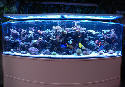 wpe482b262.jpg